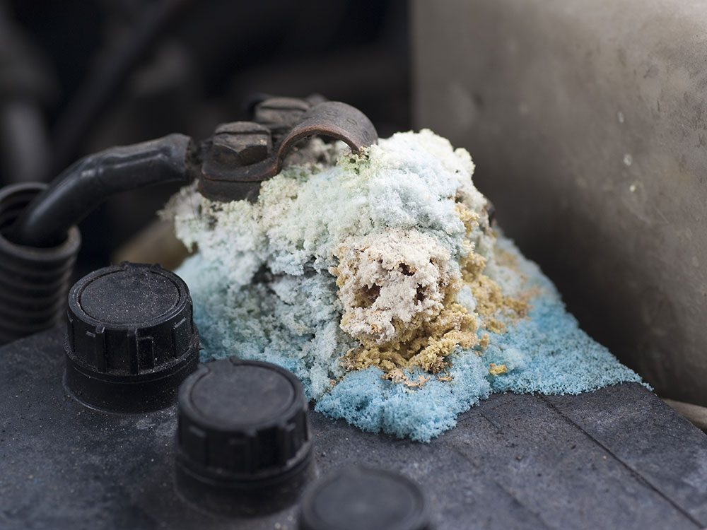 Clean corroded car battery terminals