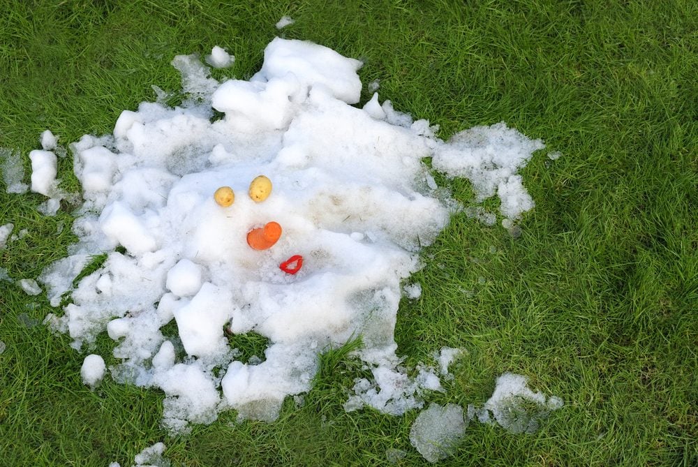 Melted Snowman on a Lawn