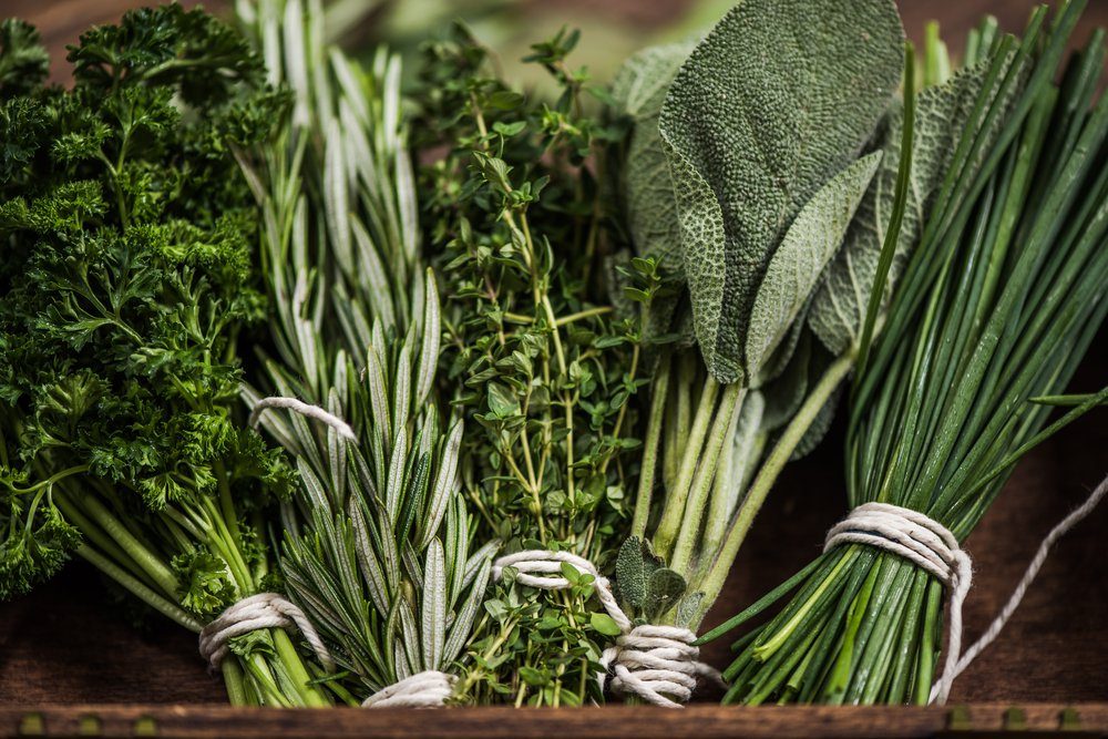 close view on fresh herbs bunch