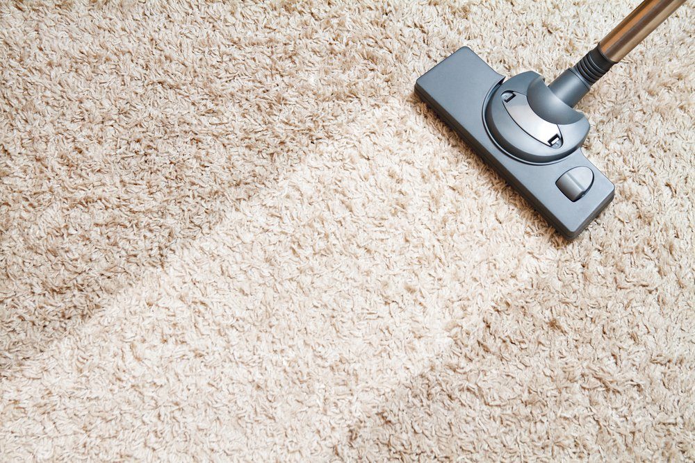Cleaning carpet hoover