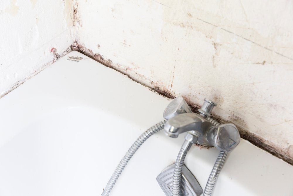 This Is How Often You Should Clean Your Bathtub-shutterstock_1090927484