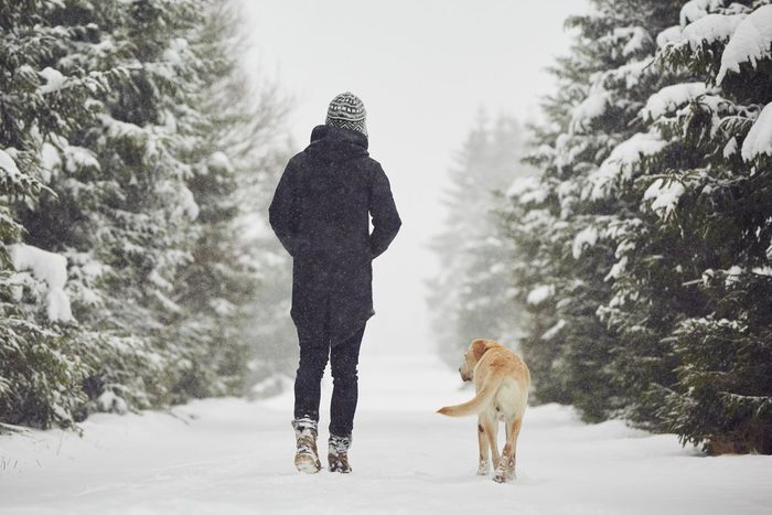 Man walking with his yellow labrador retriever in winter landscape
