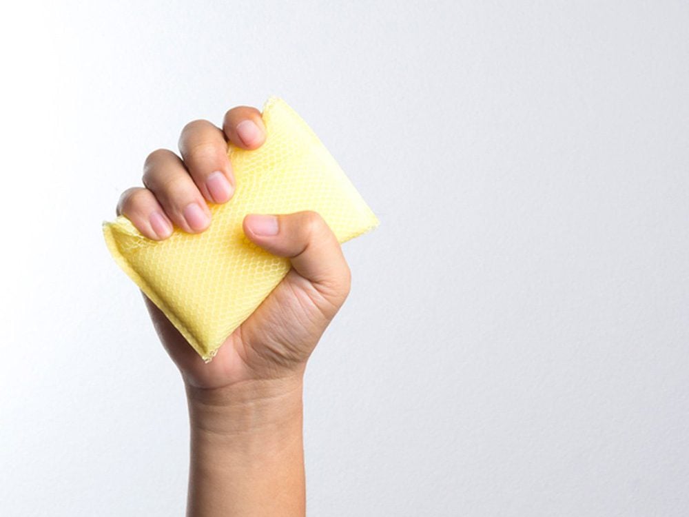 covered in fecal matter - How to Clean a Kitchen Sponge