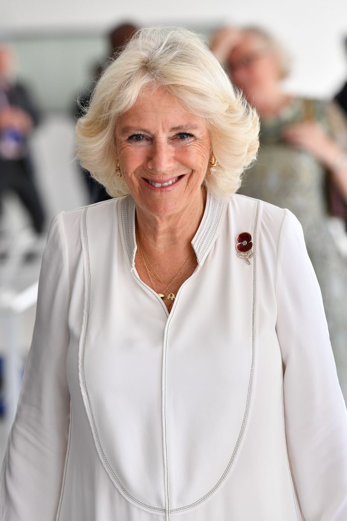 Prince Charles and Camilla Duchess of Cornwall tour of Ghana, Africa - 05 Nov 2018
