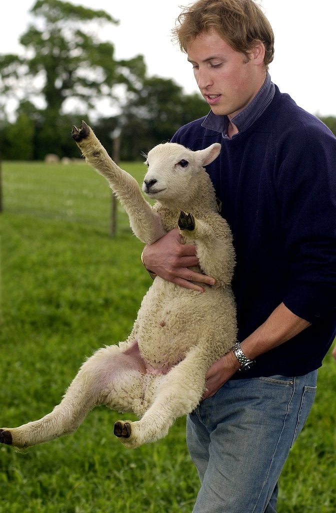 Royal photocall at Duchy Home Farm, Gloucestersire, Britain - 29 May 2004