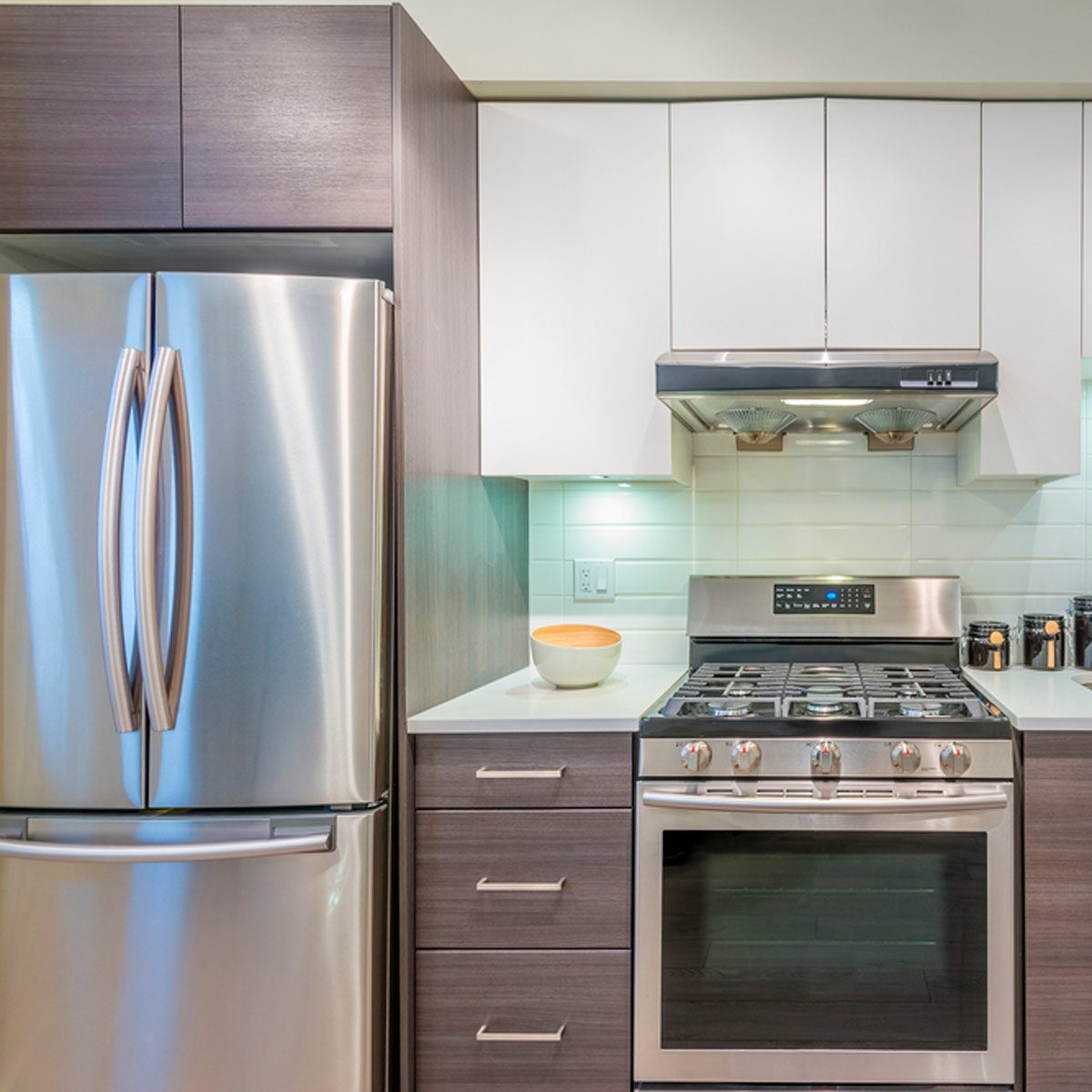 stainless steel appliances and fridge