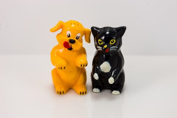 plastic dog and cat salt and pepper shakers set