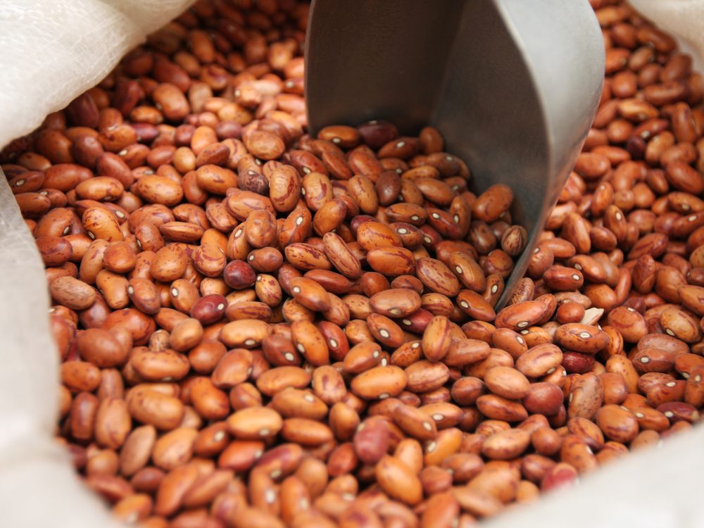 Dry brown beans
