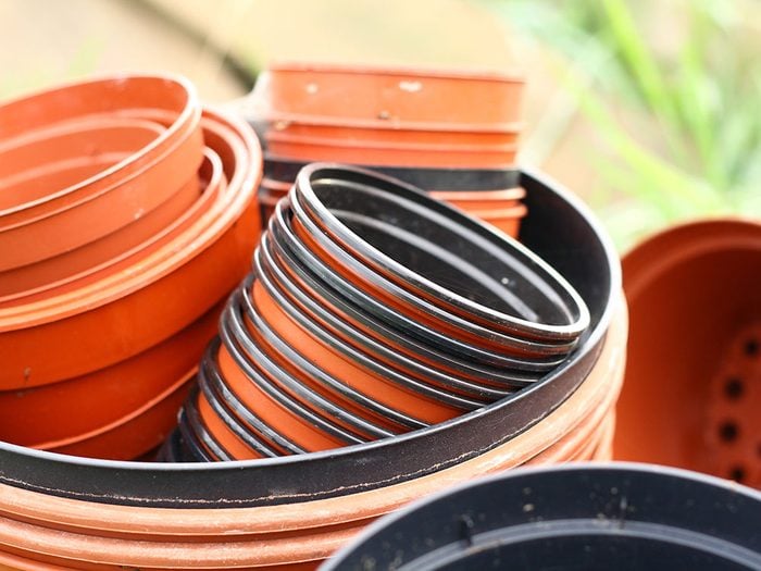 Urban gardening - plastic plant pots