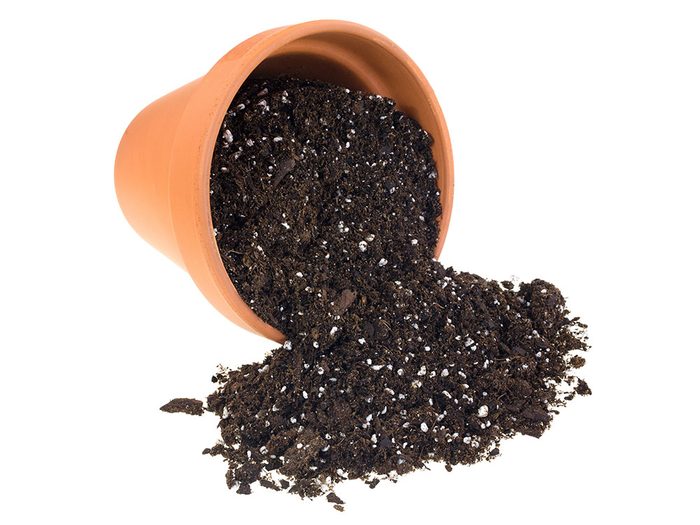 Urban gardening - use potting soil