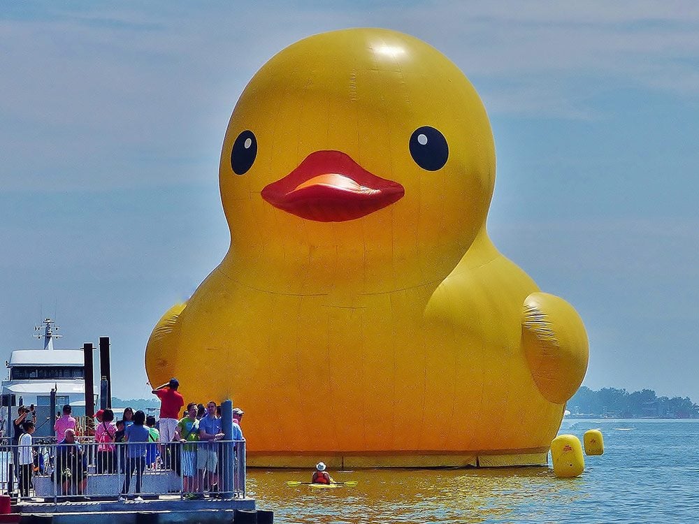 Giant rubber duck in Toronto