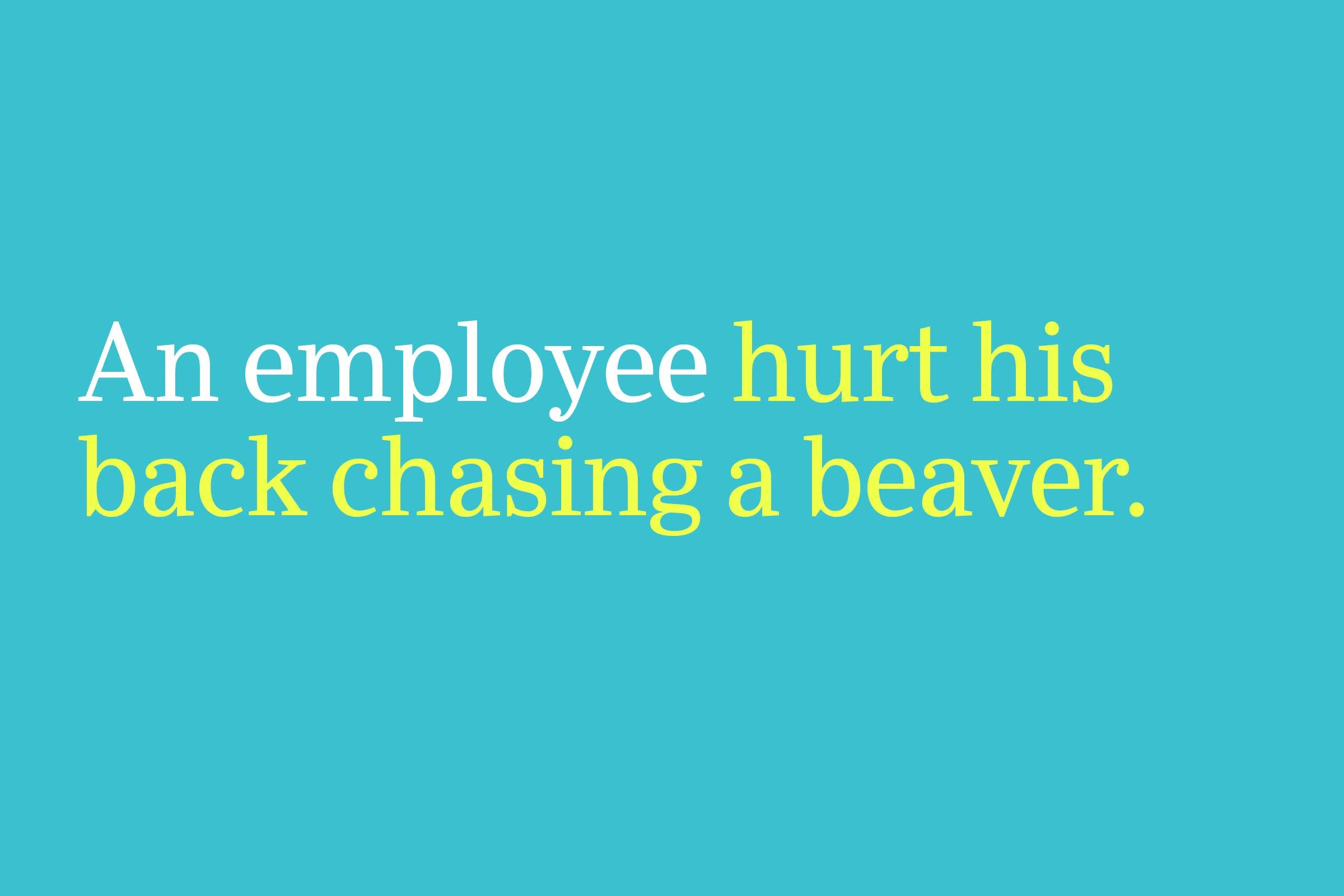 hurt his back chasing a beaver