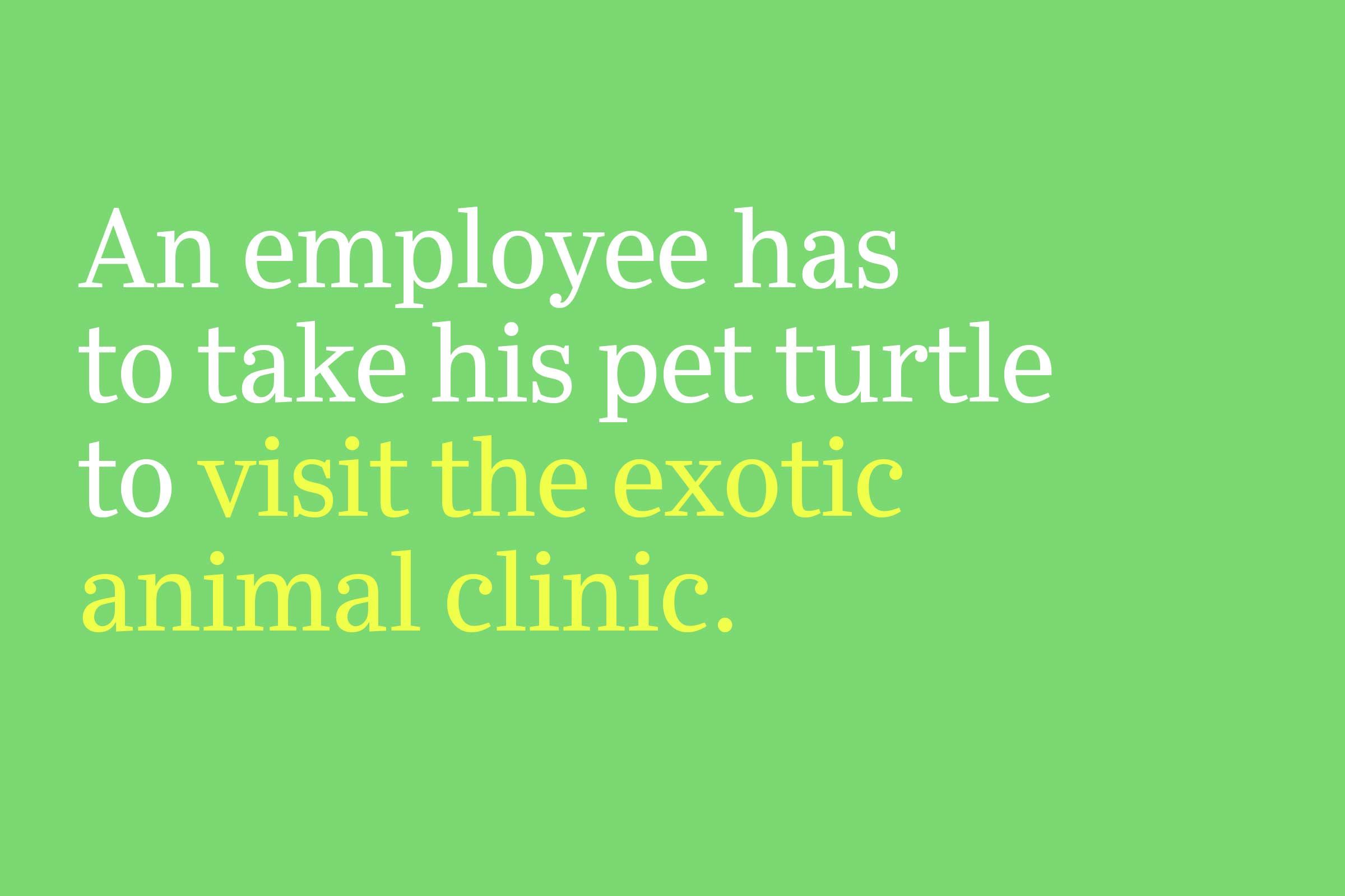 visit the exotic animal clinic