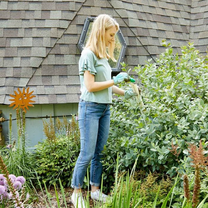 Genius gardening hacks