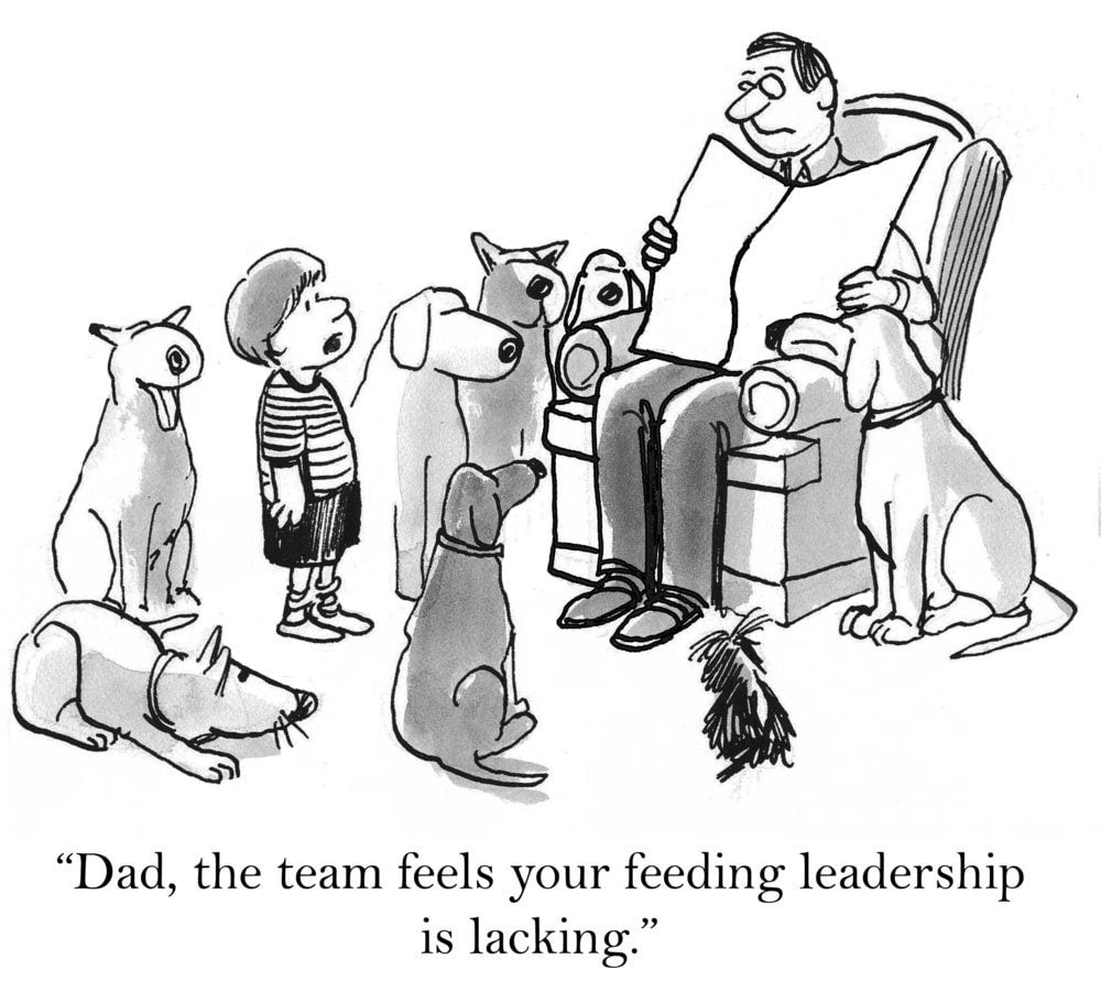 "Dad, the team feels your feeding leadership is lacking."
