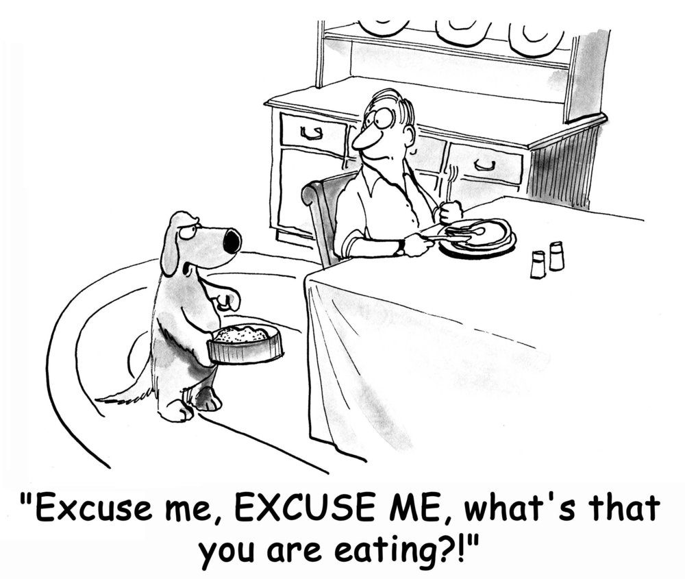 20+ Funny Dog Cartoons to Make Every Owner Chuckle | Reader's Digest