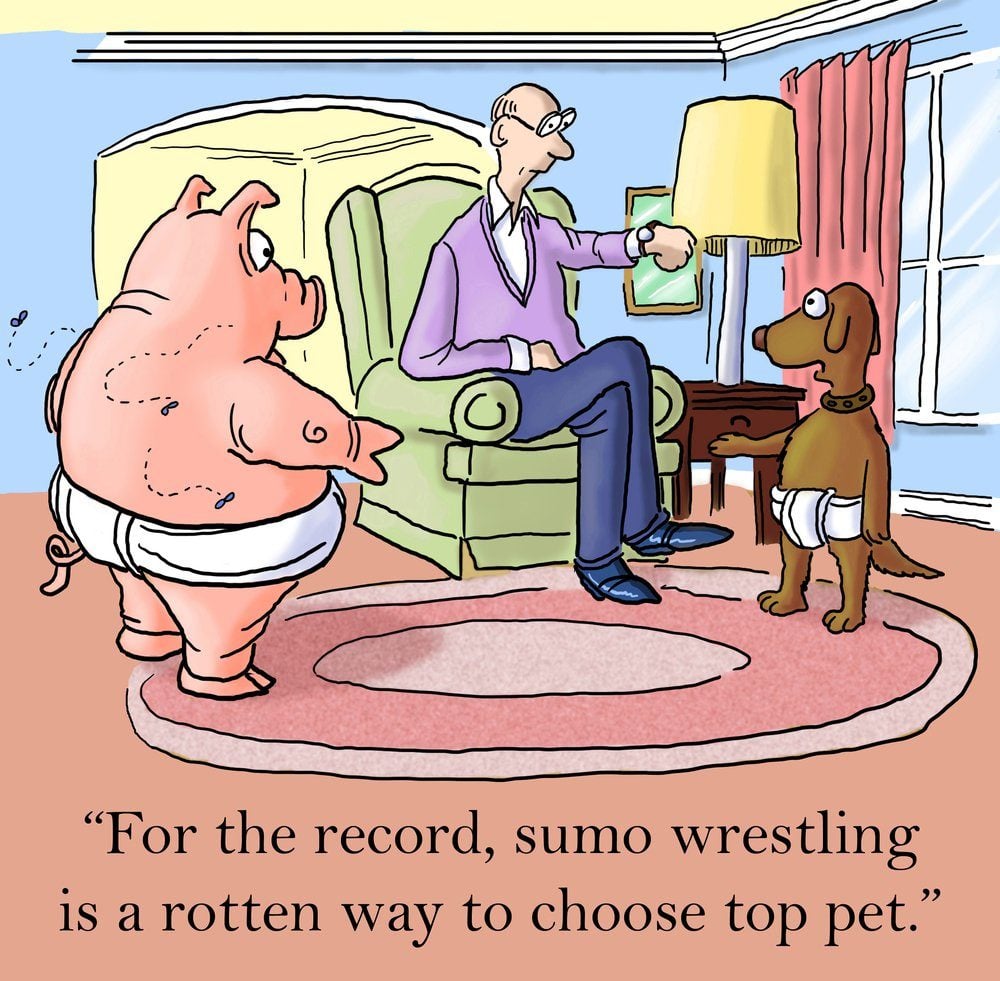 "For the record, Sumo wrestling is a rotten way to choose top pet."