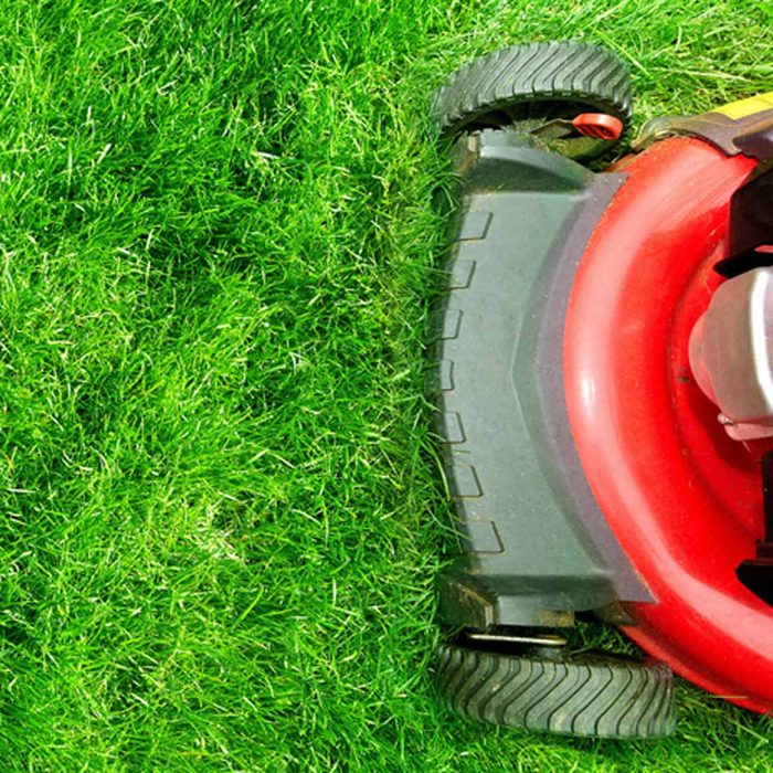 7 Organic Lawn Care Tips to Try This Year | Reader's Digest Canada