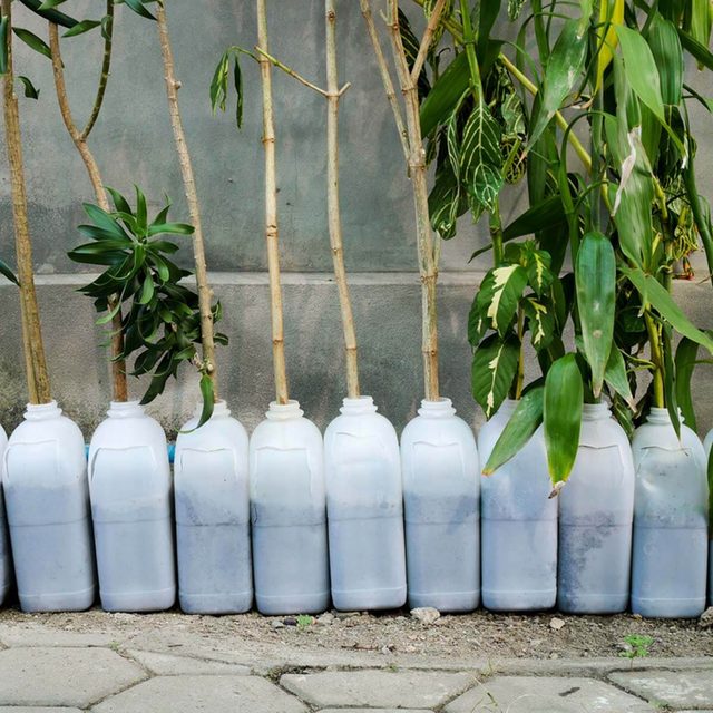 Plastic jugs
