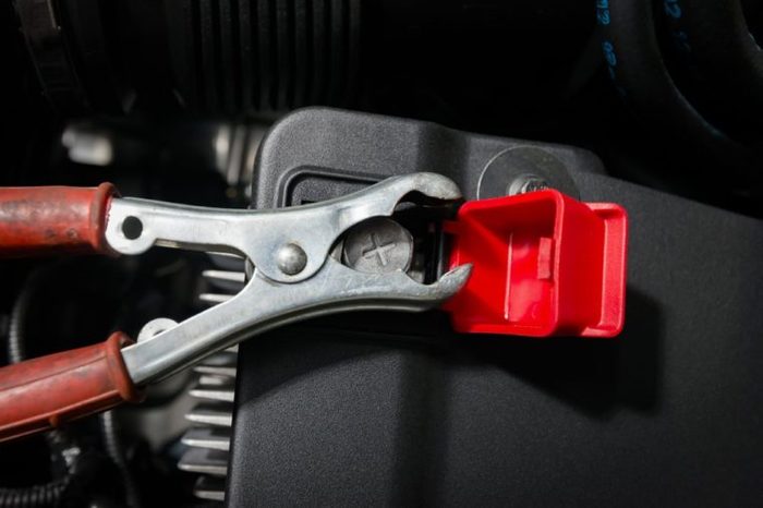 red clamp on car battery. for charging battery car with electricity.