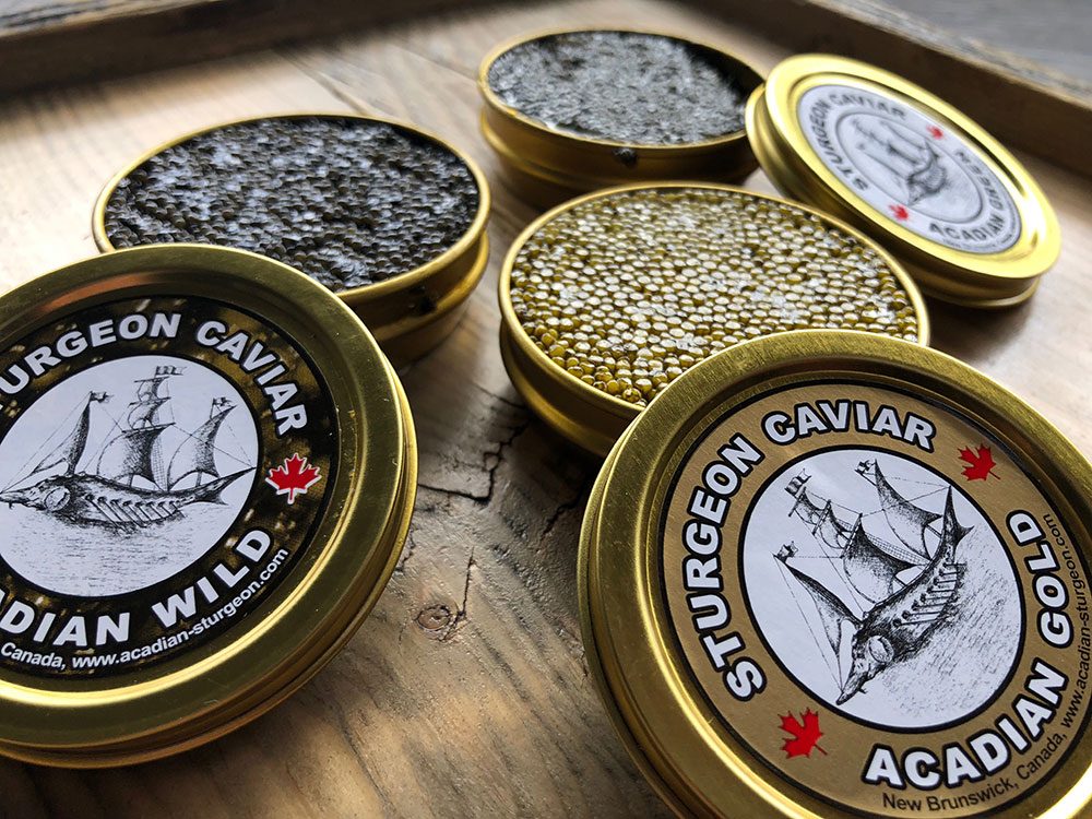 Canadian attractions - Acadian Sturgeon & Caviar safari