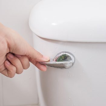 How to unclog a toilet without a plunger - flushing toilet