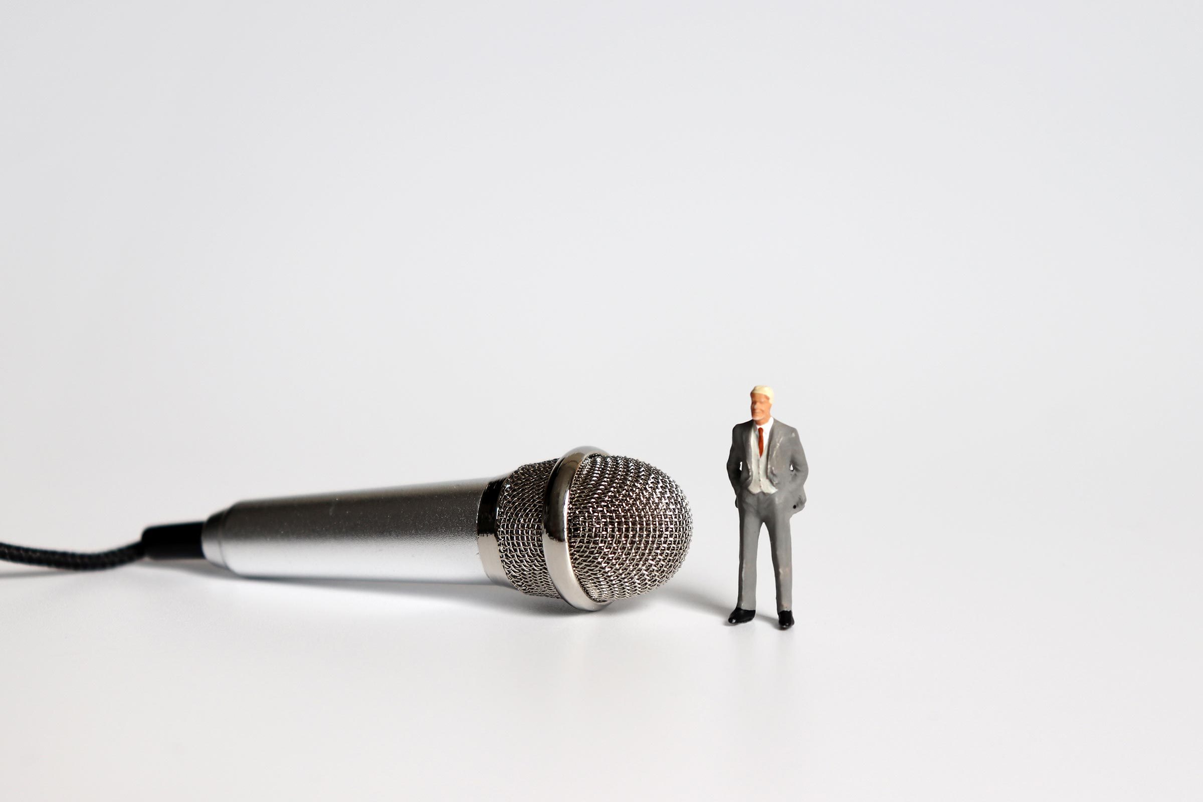 miniature figure microphone