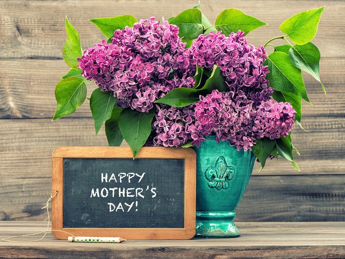 Origin of Mother's Day - lilacs in vase