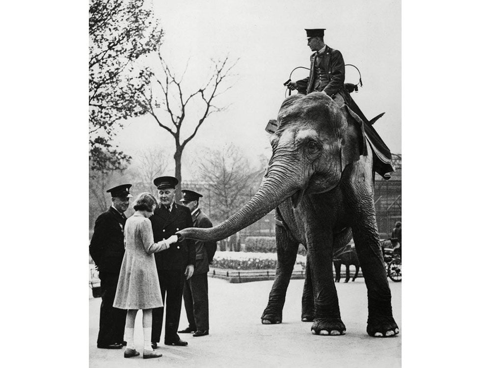 Queen Elizabeth as a kid playing with an elephant