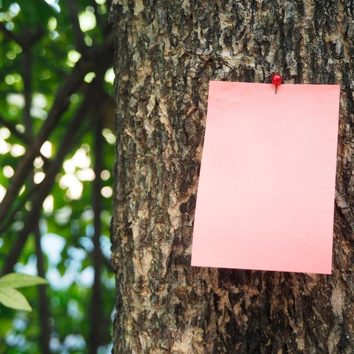 Note nailed on tree