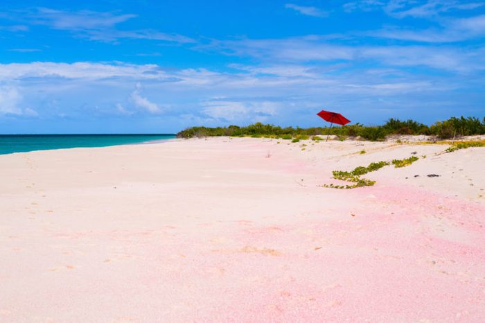 Idyllic tropical beach on Barbuda island in Caribbean with pink sand, turquoise ocean water and blue sky