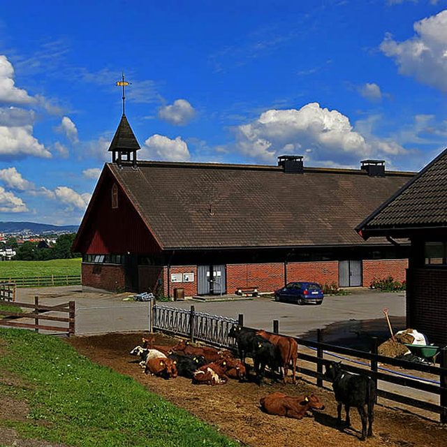 Bygd-Royal-Farm-Oslo