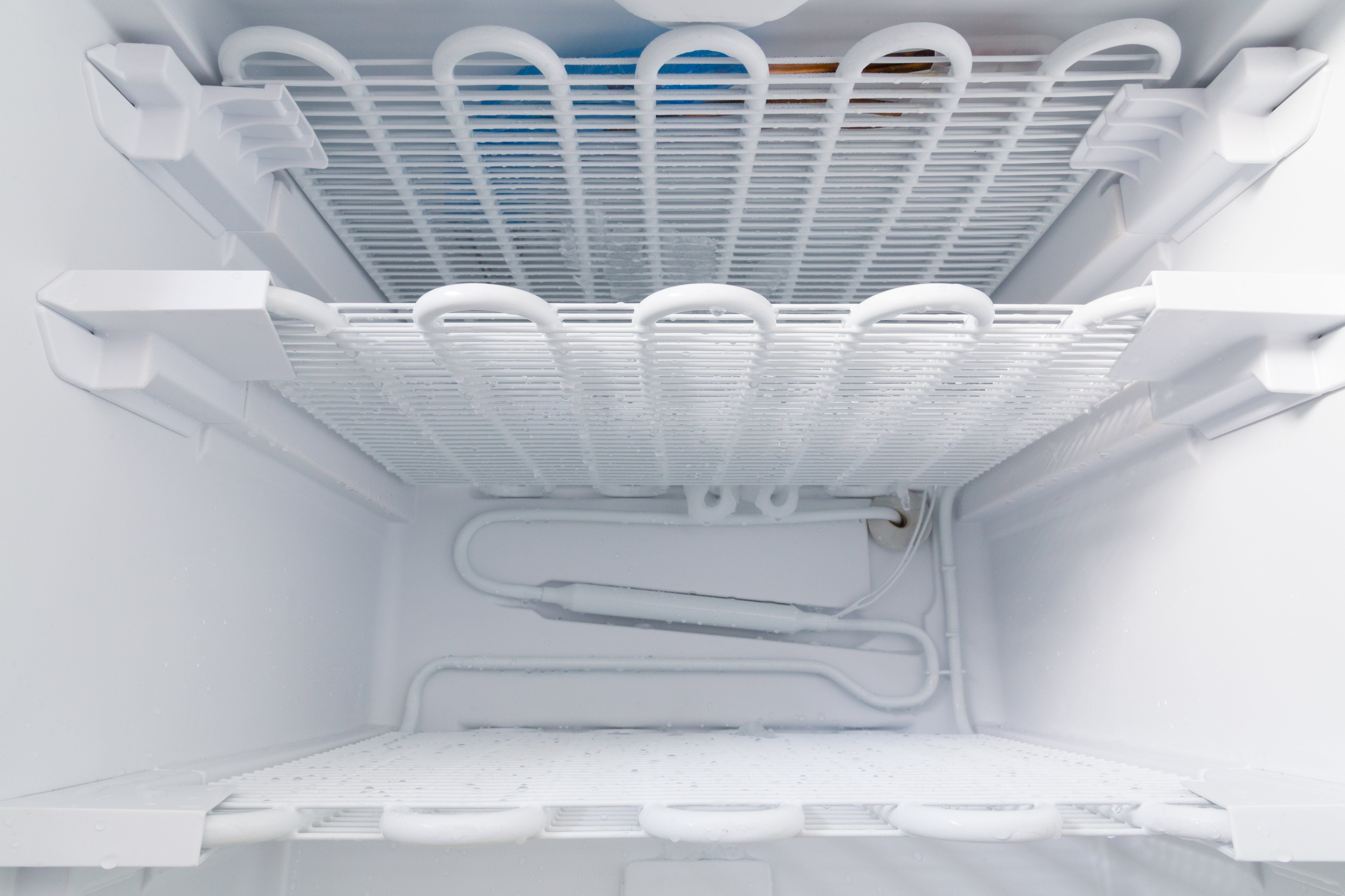 Freezer is defrosted to clean.