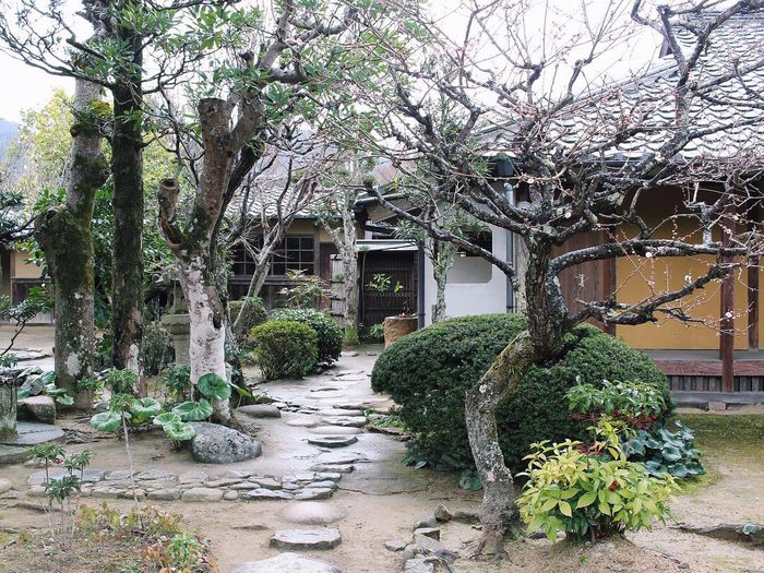 Garden in Hagi, Yamaguchi, Japan