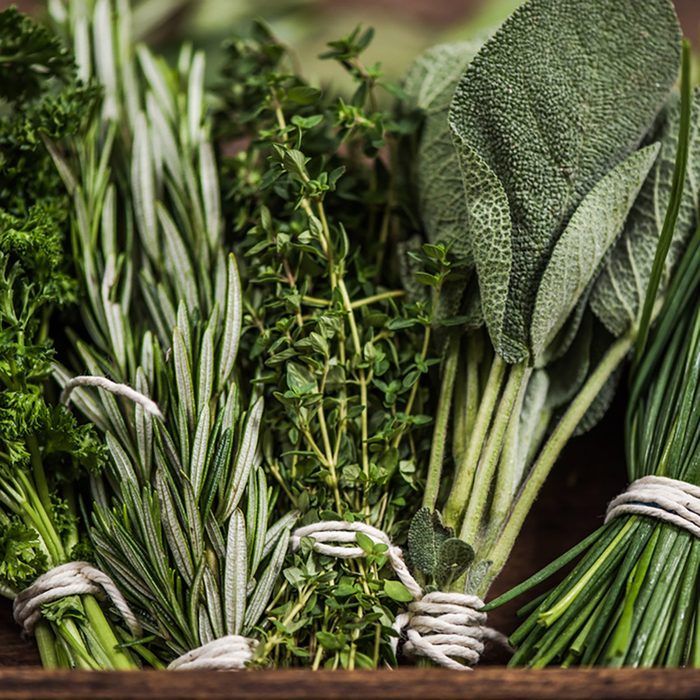 close view on fresh herbs bunch