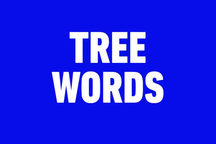 tree words