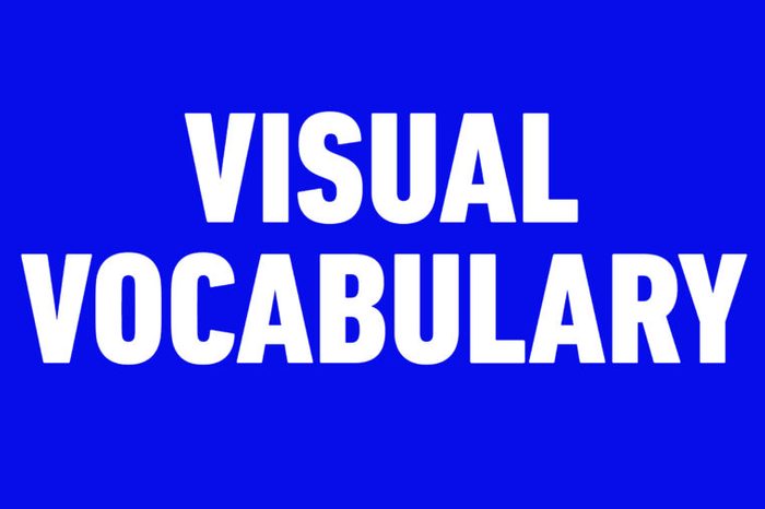 visual vocabulary