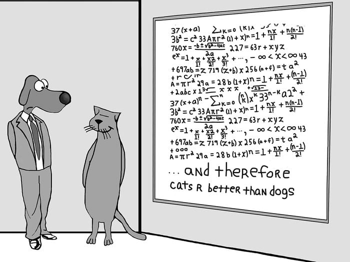 Funny dog cartoons - cats are better than dogs