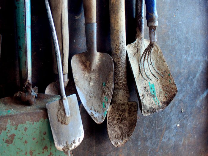 Dirty garden tools