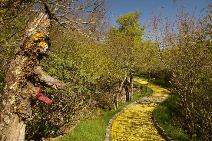The abandoned Yellow Brick road in the Land of Oz theme park, North Carolina
