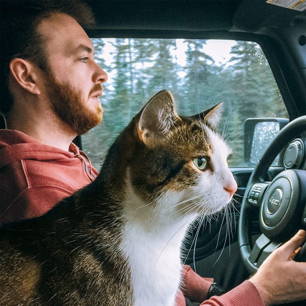 Gunner the cat keeps Nik company in the front seat