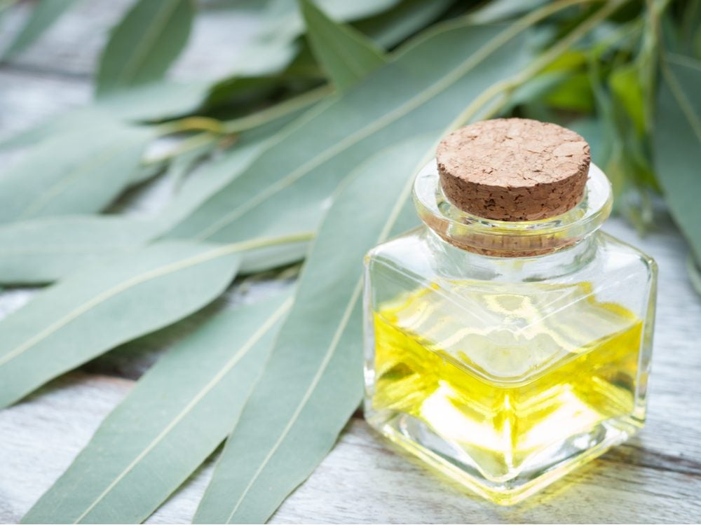 Eucalyptus oil