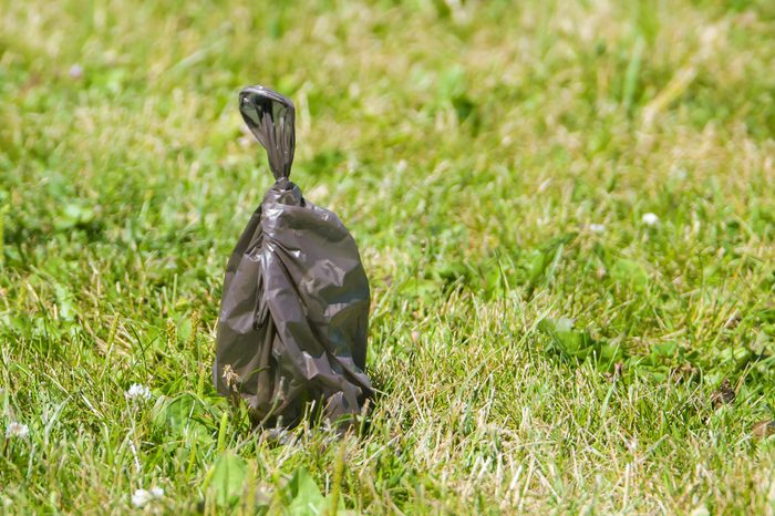Brown dog poop bag resting on grass