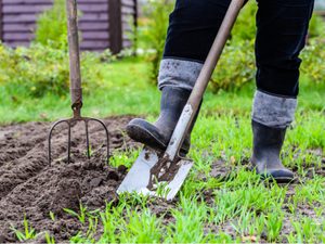 What You Should Know Before Starting a Garden | Reader's Digest
