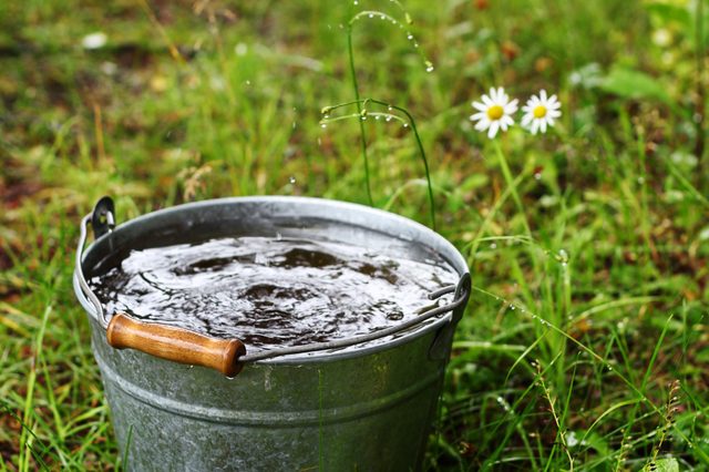 Bucket with rain water outdoors