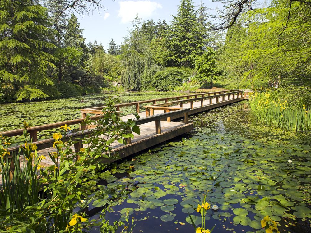 Vancouver botanical gardens