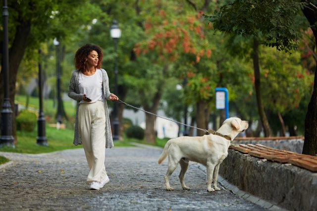 Pretty young african lady in white clothes walking with dog labrador in park in the morning