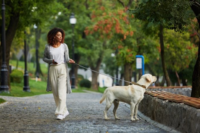 Pretty young african lady in white clothes walking with dog labrador in park in the morning