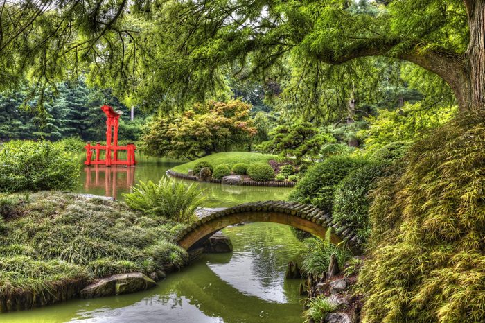 HDR picture of Japanese Garden in the Brooklyn Botanic Garden, New York City, U.S.A.