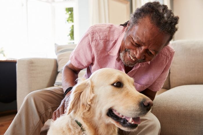 Senior Man Sitting On Sofa At Home With Pet Labrador Dog